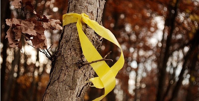 9 pm – Tie a yellow ribbon round on the old oak tree